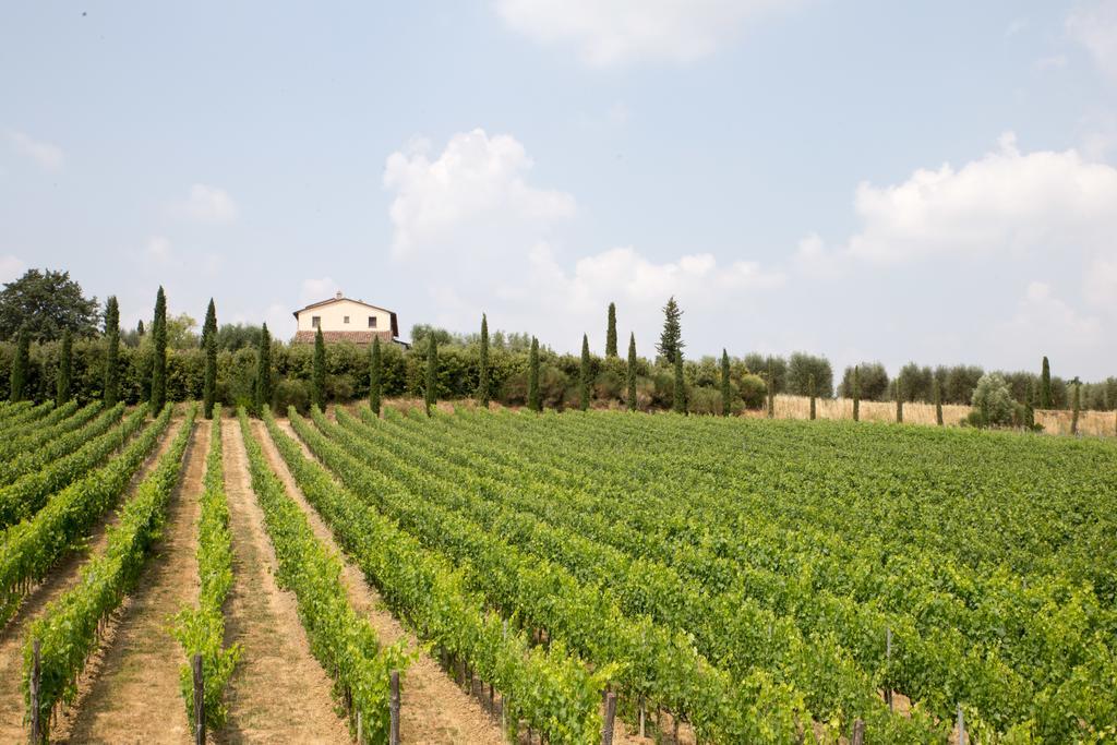 Le Buche Wine Resort&Spa Macciano Ngoại thất bức ảnh