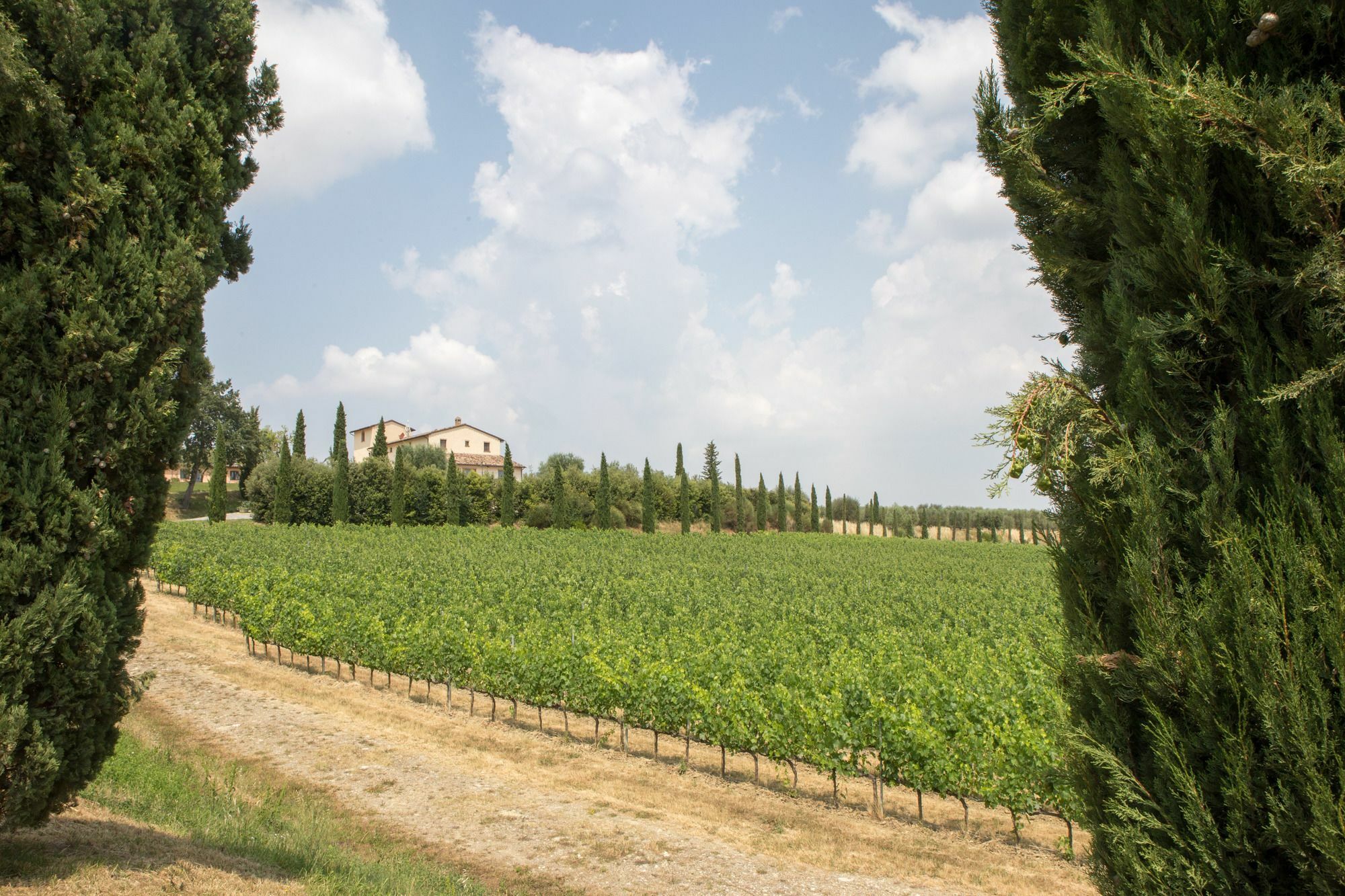 Le Buche Wine Resort&Spa Macciano Ngoại thất bức ảnh